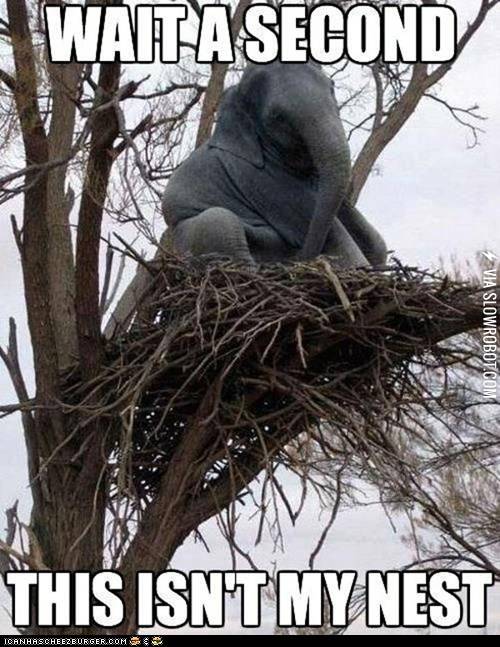 Wait+a+second%26%238230%3B