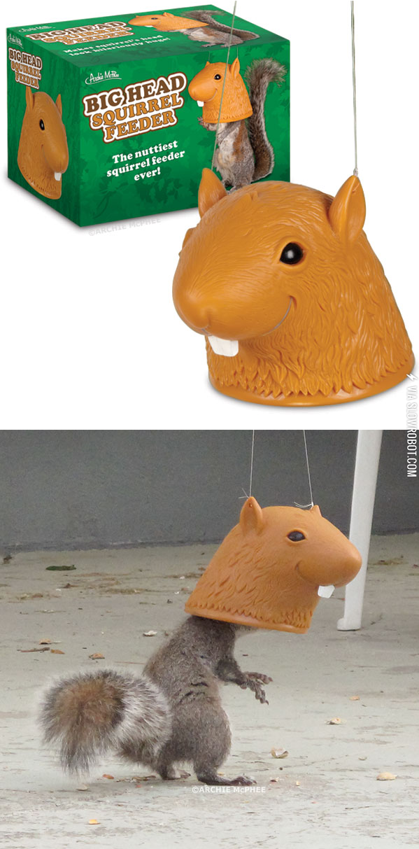 Big+head+squirrel+feeder.