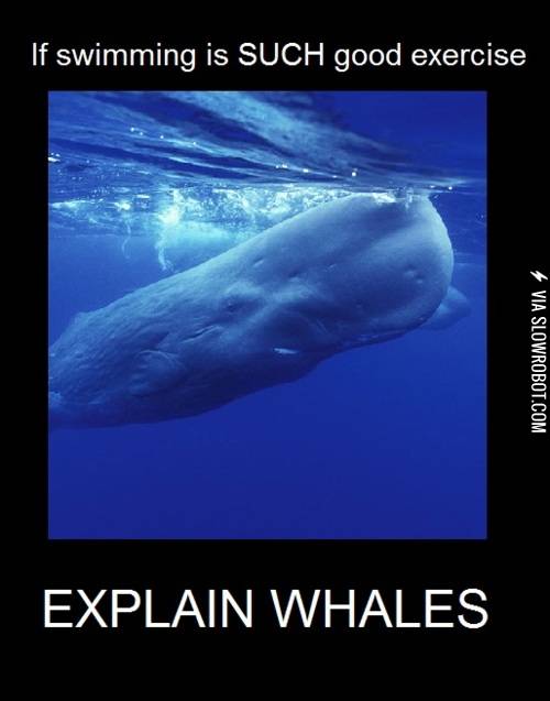 Explain+whales.