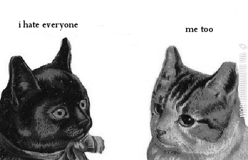 cats+know+what+they%26%238217%3Bre+talking+about.