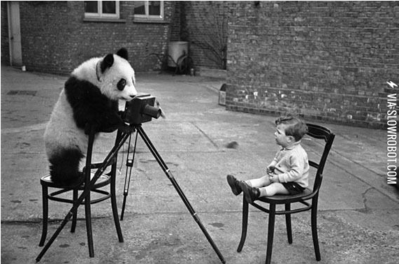 Trust+me%2C+I%26%238217%3Bm+a+panda.