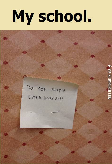 The+things+I+find+at+my+school.