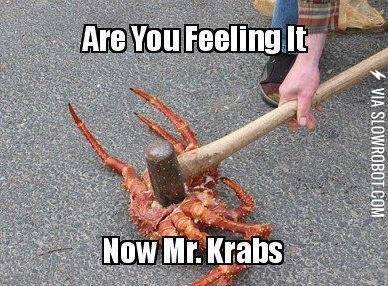 are+you+feeling+it+mr.+krabs%3F+are+you+feeling+it+mr+krabs%3F+%2Ainfinity