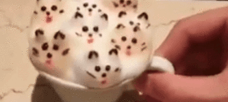 Latte+foam+cats
