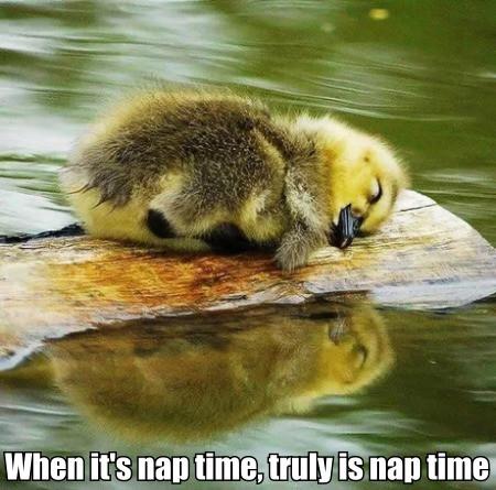 When+It%26%238217%3Bs+Nap+Time%2C+Truly+Is+Nap+Time