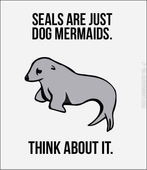 Seals+are+just+dog+mermaids.
