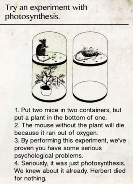 Try+An+Experiment+With+Photosynthesis