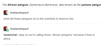African+penguin