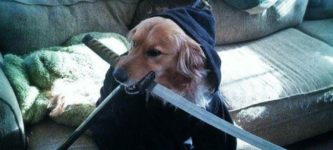 While+u+begged+for+treats%2C+I+studied+the+blade.