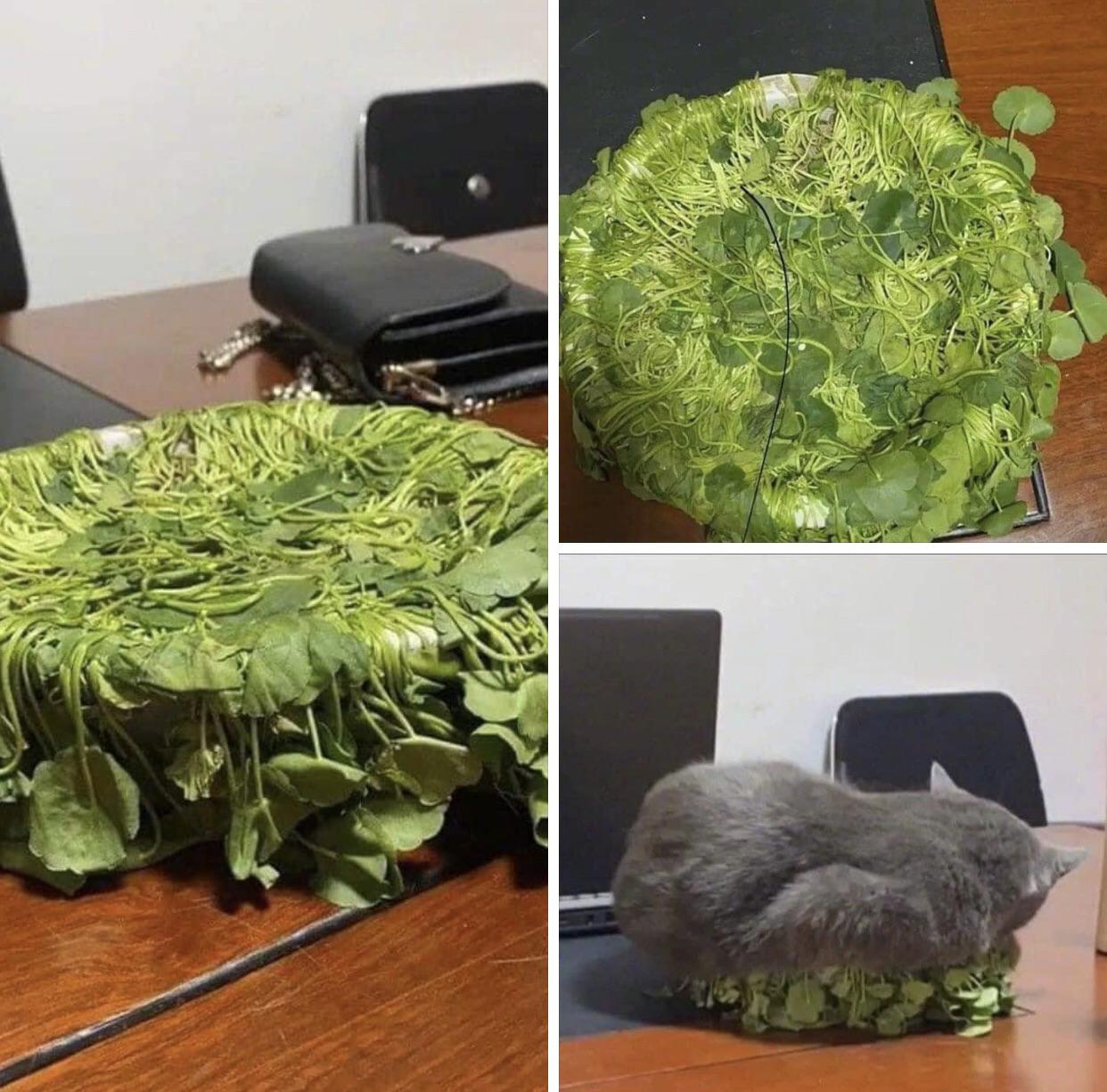 Can%26%238217%3Bt+have+nice+things