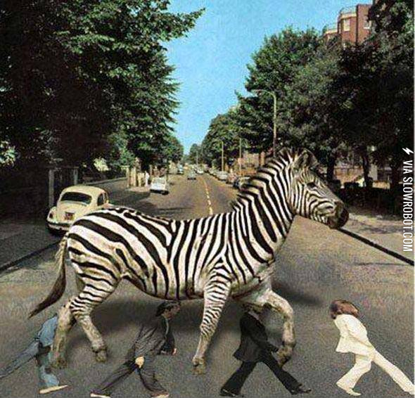 In+a+parallel++universe%26%238230%3B