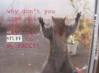 When+you+talk+about+a+squirrel%26%238230%3B