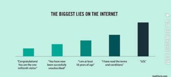 The+biggest+lies+on+the+Internet.