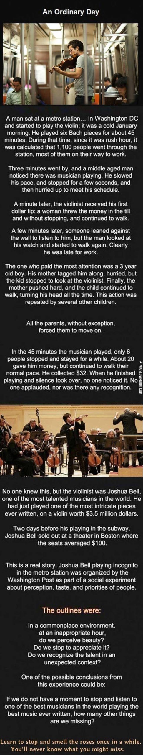 Stop+and+smell+the+roses.