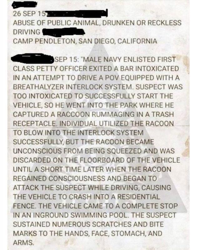 Best+police+report+I%26%238217%3Bve+ever+read.