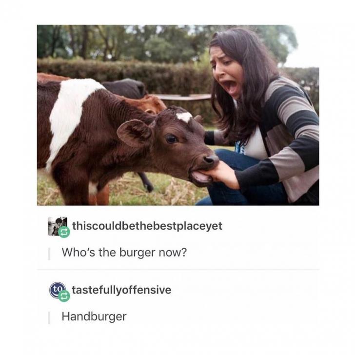 Moo+moo+mothertrucker