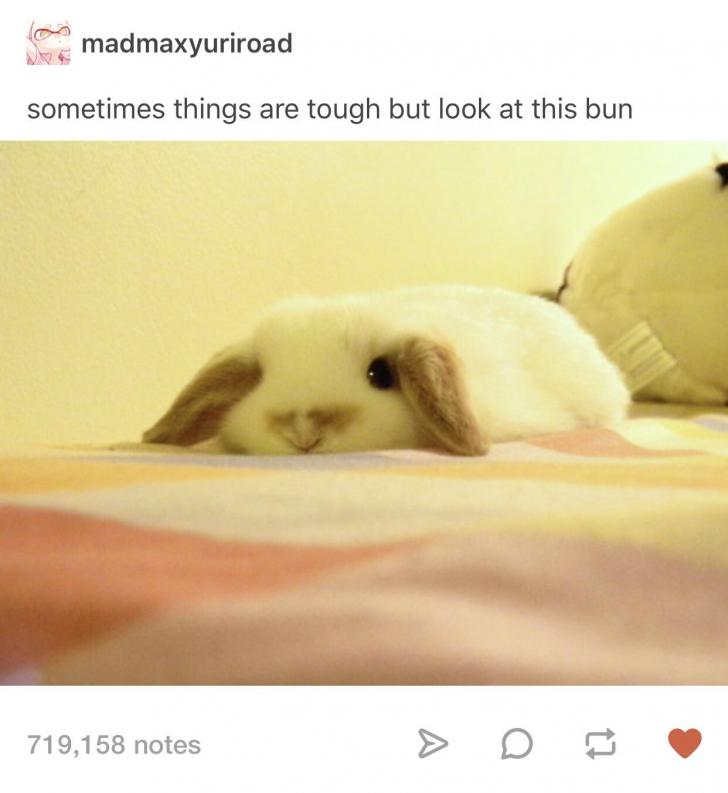 Figured+someone+might+need+this+today