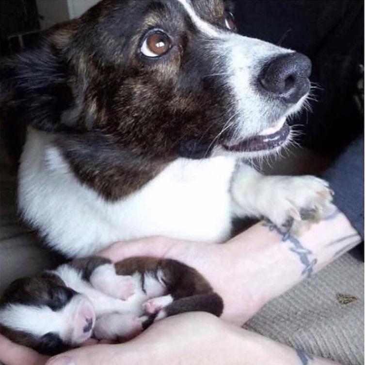 Be+careful+with+my+smol+one.