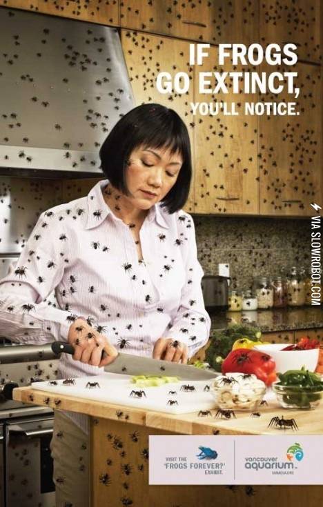 If+frogs+go+extinct%2C+who+will+join+me+in+burning+the+world%3F