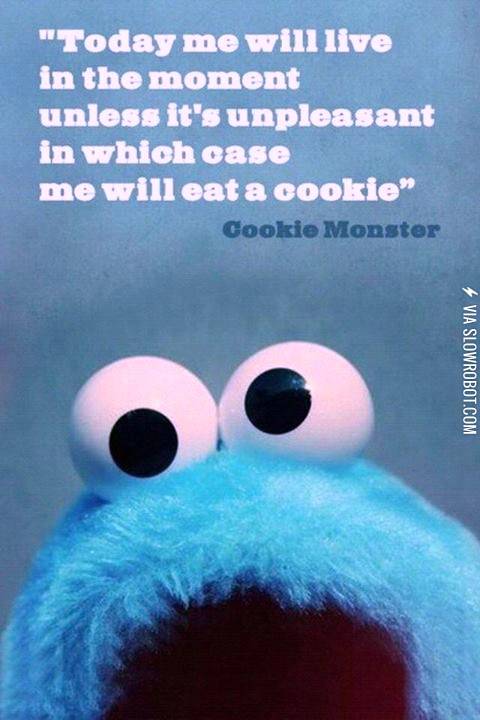Cookie+Monster+gets+it.