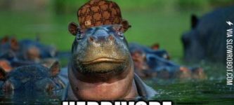 Scumbag+hippos