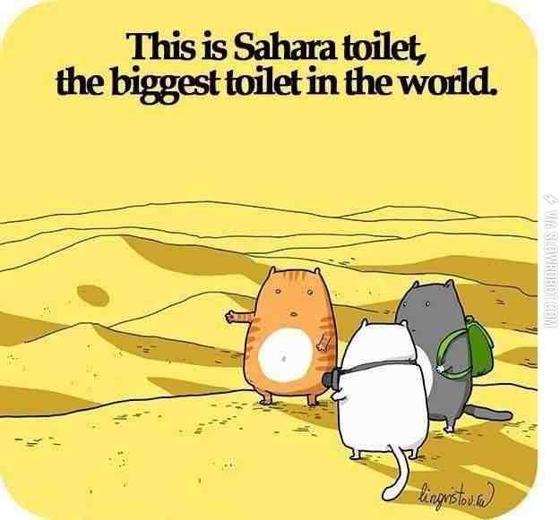 The+Sahara+Toilet.