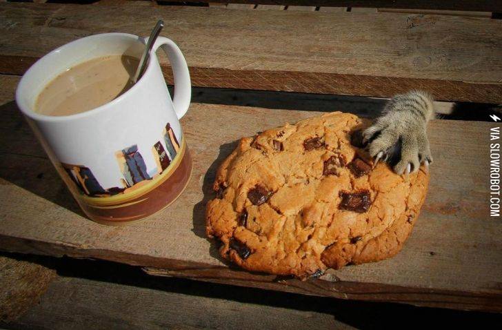 Cookie+Monster
