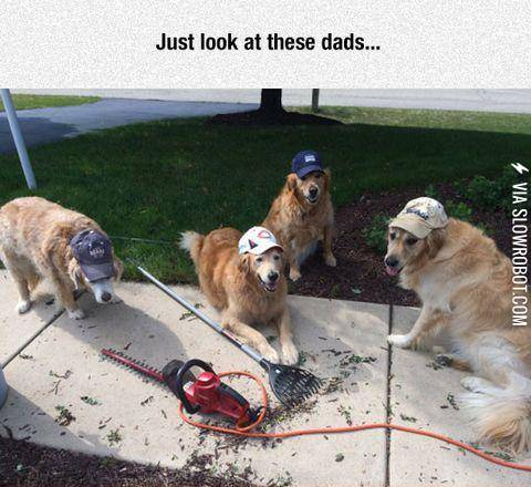 Dad+dogs