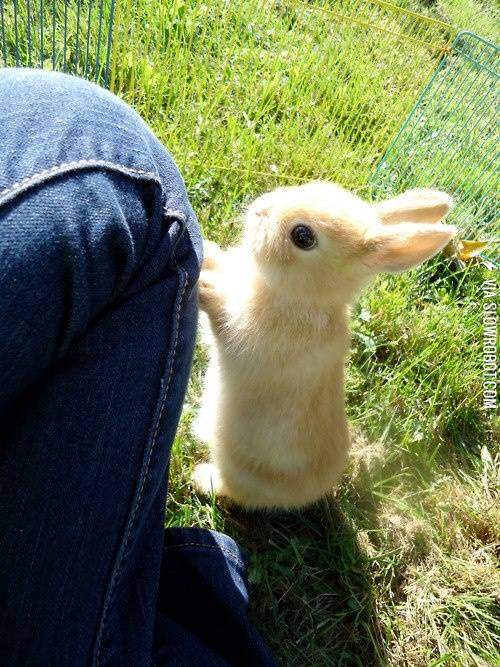 Will+you+play+with+me%3F