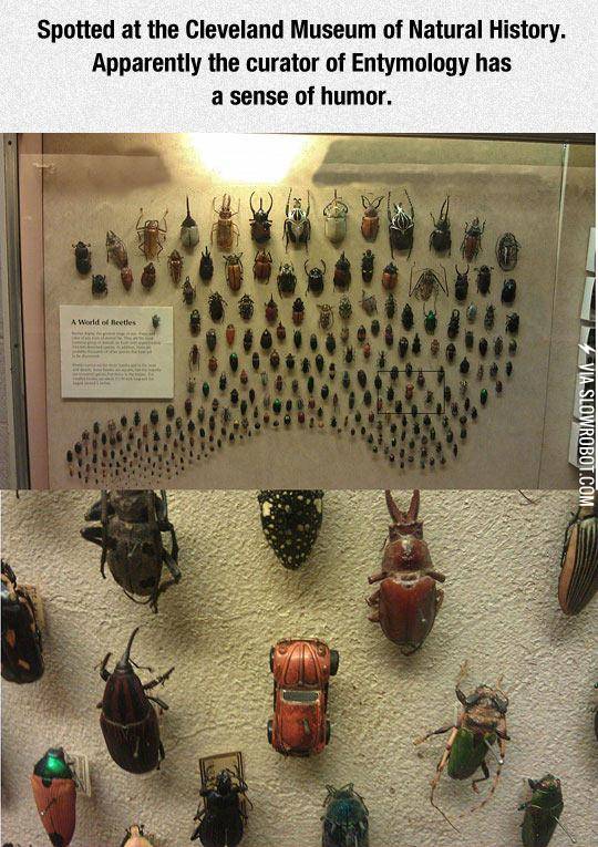 Well%2C+It+Actually+Is+A+Beetle