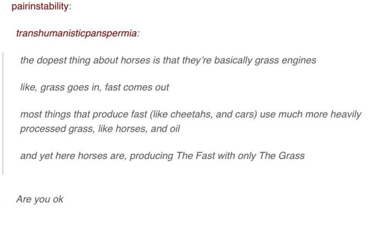 The+dopest+thing+about+horses