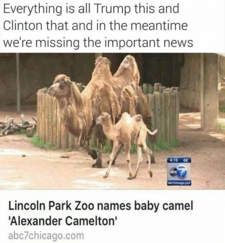 This+is+the+real+news+you+were+looking+for.