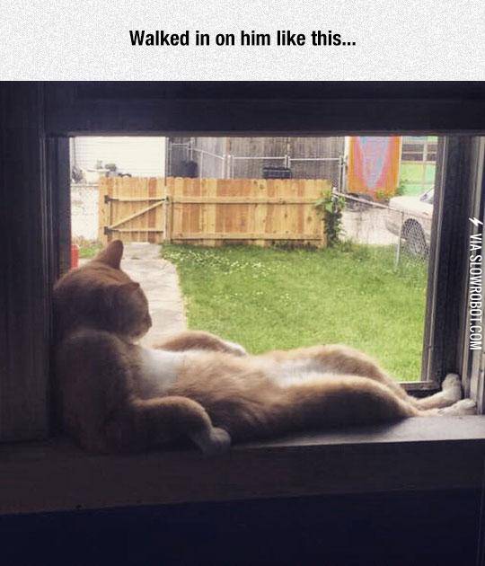 Just+Chilling.+Definitely+Not+Stuck.+Act+Casual.