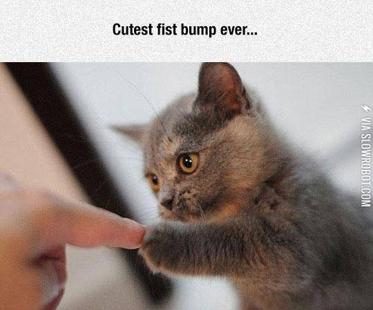 Fist+Bump