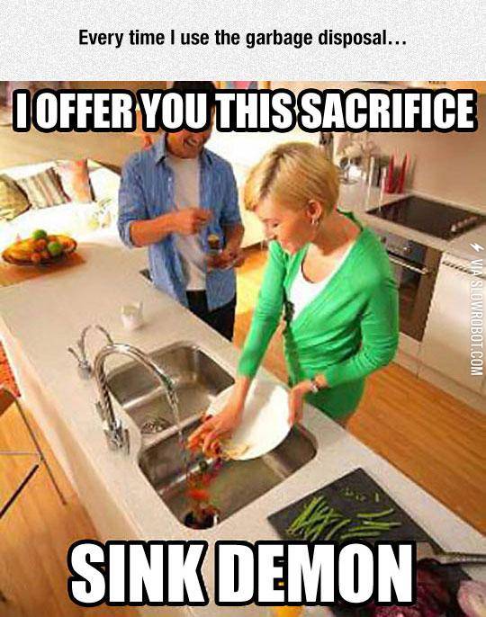 Using+The+Garbage+Disposal