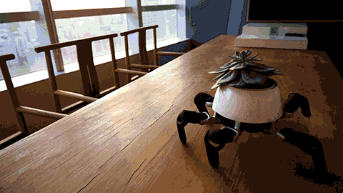 This+sun-chasing+robot+looks+after+the+plant+on+its+head