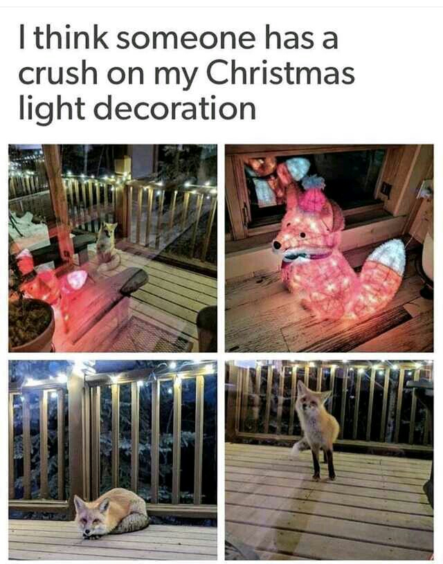 What+does+the+fox+say%3F