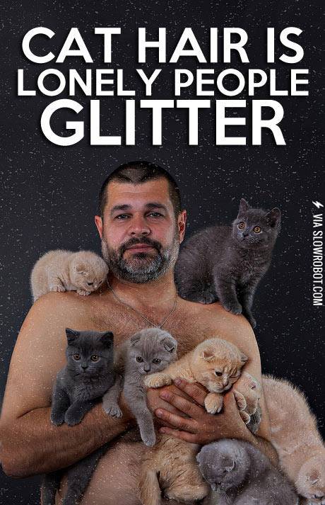 Cat+hair+is+lonely+people+glitter