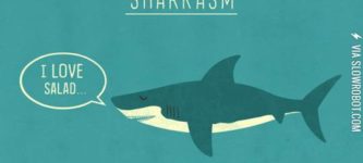 Sharkasm.