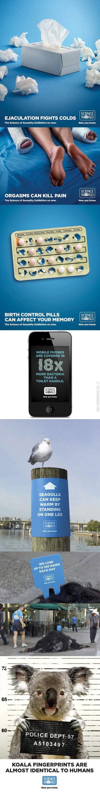 Science+WORLD+ADVERTISMENTS