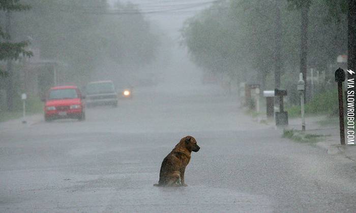 One+of+the+saddest+pictures+I+have+ever+seen.