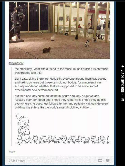 That+Would+Be+Awesome