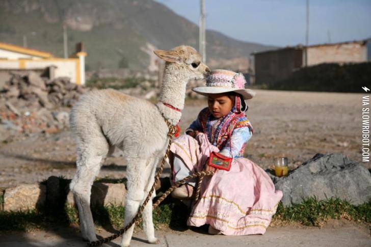 Young+Girl+and+Her+Baby+Alapaca%2C+Peru