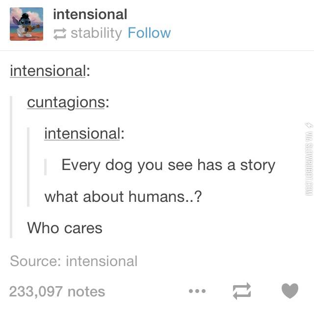 Every+dog+you+see+has+a+story
