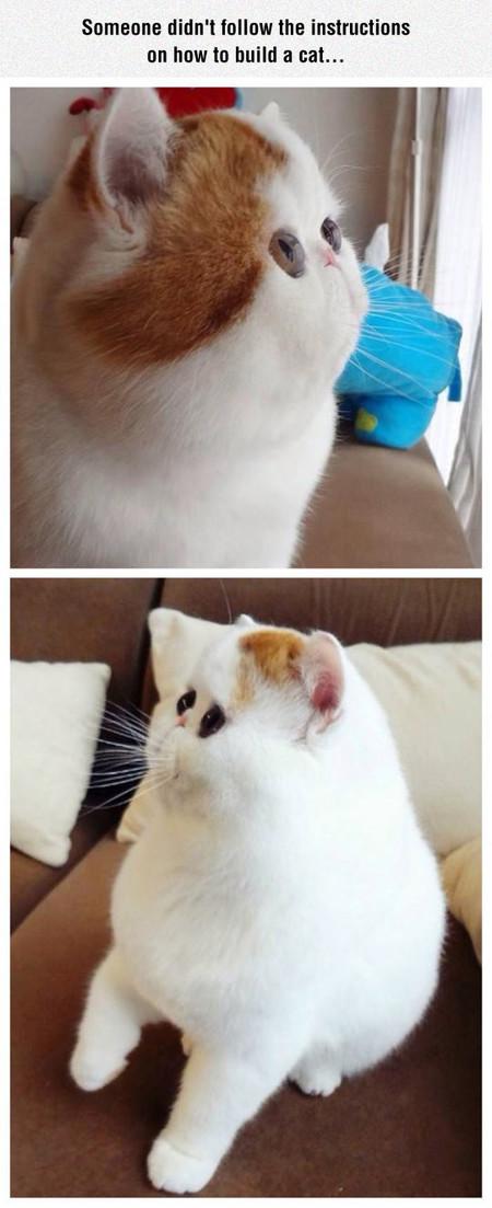 Someone+Didn%26%238217%3Bt+Follow+The+Instructions