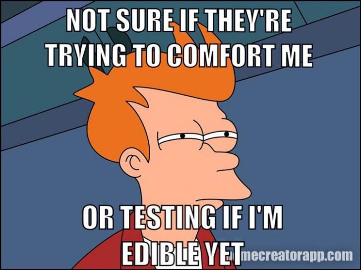 I%26%238217%3Bm+sick.+Now+my+cats+have+suddenly+started+licking+me.