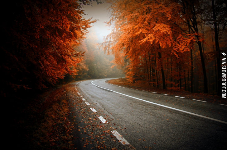 Beginning+of+Autumn+in+Transylvania.
