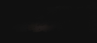 Bats+illuminated+by+lightning