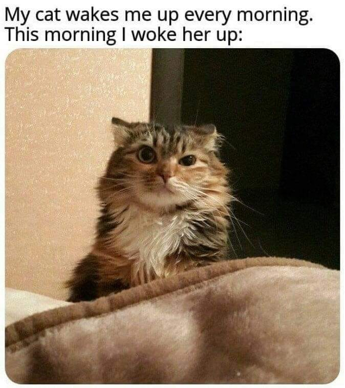 Got+%26%238216%3Beem