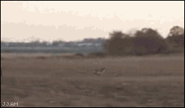 Remind+me+to+never+leave+the+house+again.